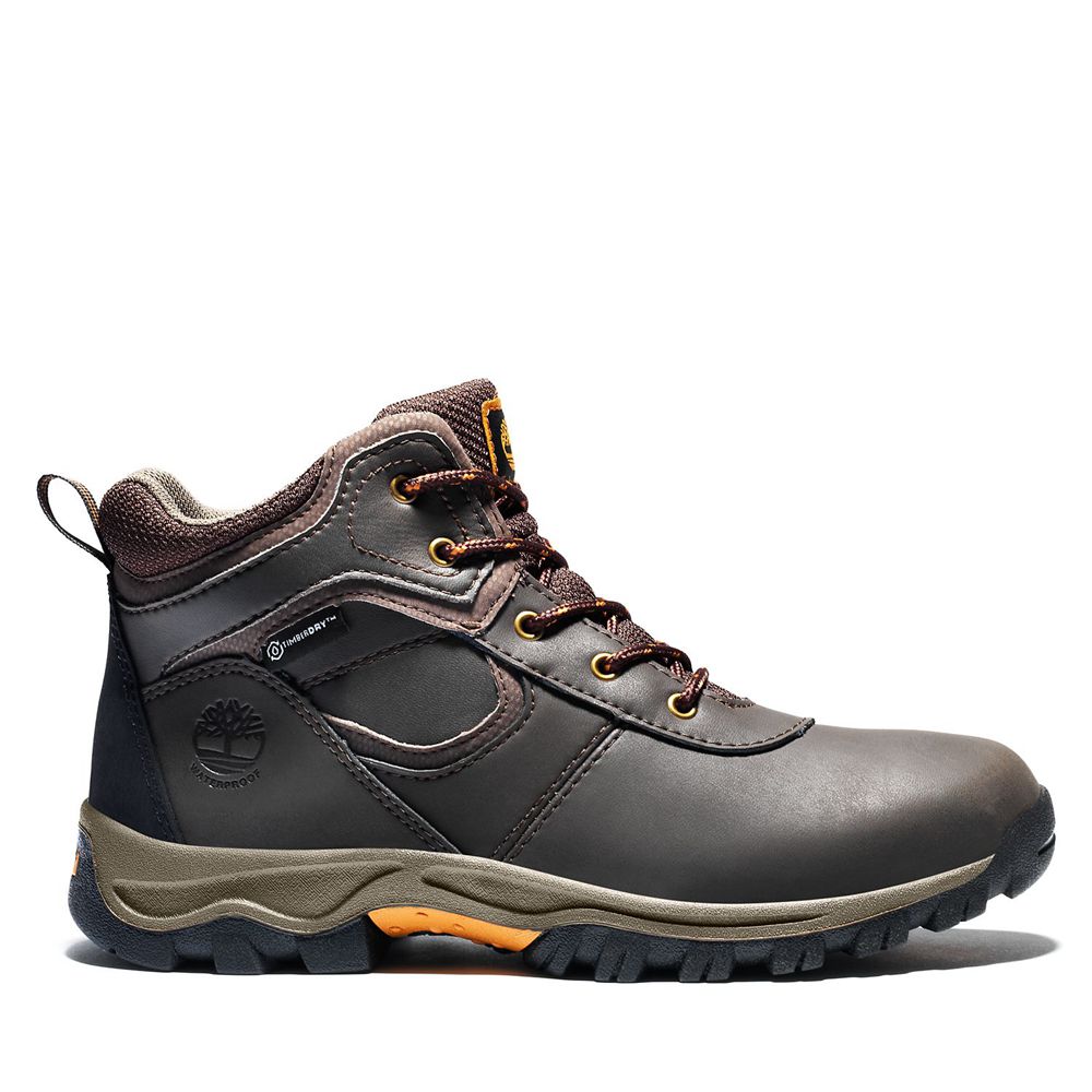 Botas de Montaña Timberland Niños Junior Mt. Maddsen Waterproof Marrones Oscuro - Chile BAU-435097